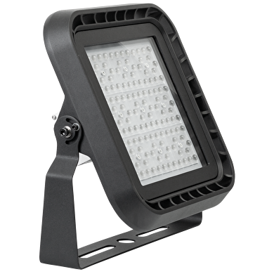 Професионален LED прожектор димиращ 1-10 V DC, 100W, 5000K, 110°, 220V-240V AC, IP66