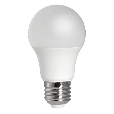 LED Birnenlampe für Niederspannungsnetze 8W, E27, 4000K, 12-24V AC/DC, neutrales Licht