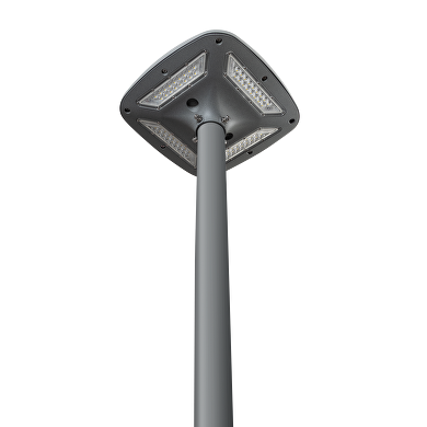 LED park lamp with programmable driver 50W, 4000K, 220V-240V AC, IK08, IP66
